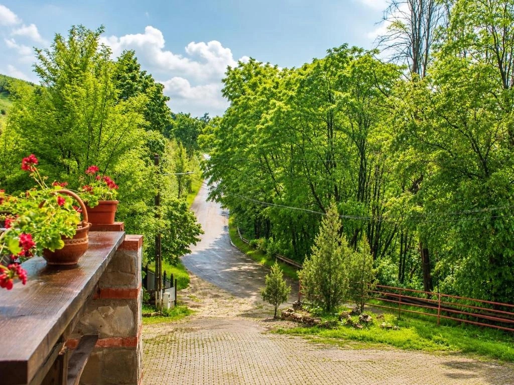 Cărare prin grădina verde a pensiunii La Popa's